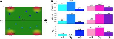 How to orchestrate a soccer team: Generalized synchronization promoted by rhythmic acoustic stimuli